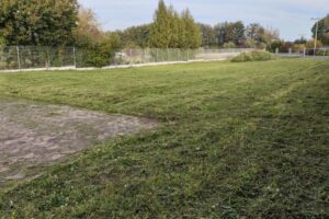 IMG_20241019_164359(2)