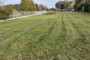 IMG_20241019_164436(2)
